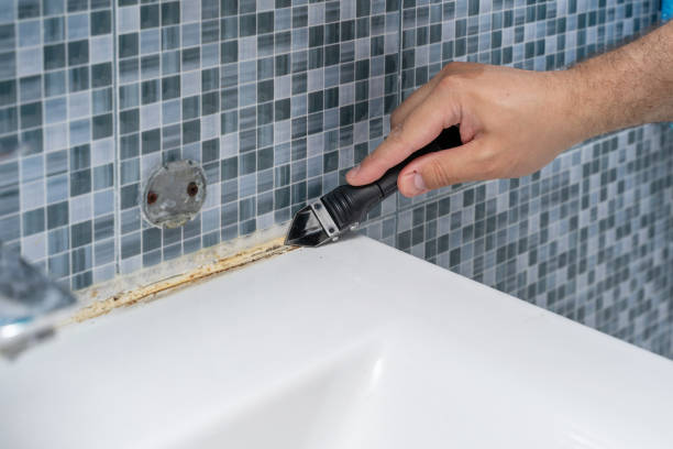 Best Attic Mold Removal  in Lincroft, NJ