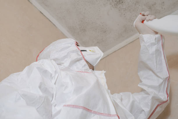 Crawl Space Mold Removal in Lincroft, NJ