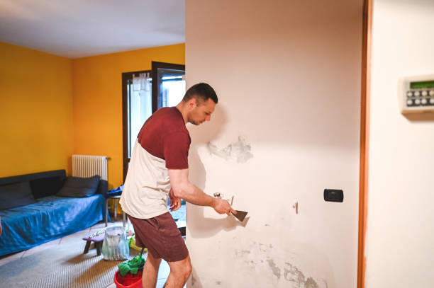 Best Mold Damage Repair  in Lincroft, NJ